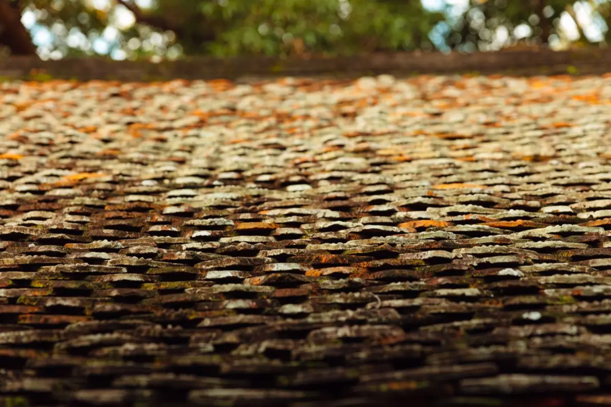 Aging shingle roof with moss growth and granule loss in Racine, WI